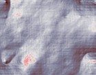 stellenvermittlung grosshandel
